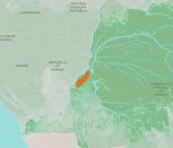 Tumba Lediima Reserve, Democratic Republic of Congo